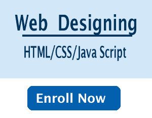 Web Design at NCI Jalandhar